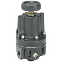 High Precision Vacuum Regulator - P3RA171
